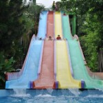 Máng trượt nhiều làn - multislides